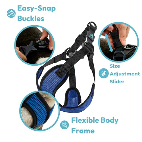 Gooby Comfort X Step in Lite Dog Harness - Blue, Large - Choke-Free & Escape-Free Mesh Harness for Small Dogs