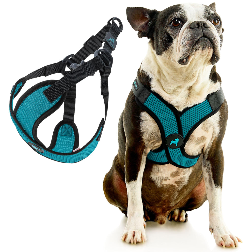 Gooby Comfort X Step in Lite Dog Harness - Turquoise, Small - Choke Free & Escape Free Mesh Harness