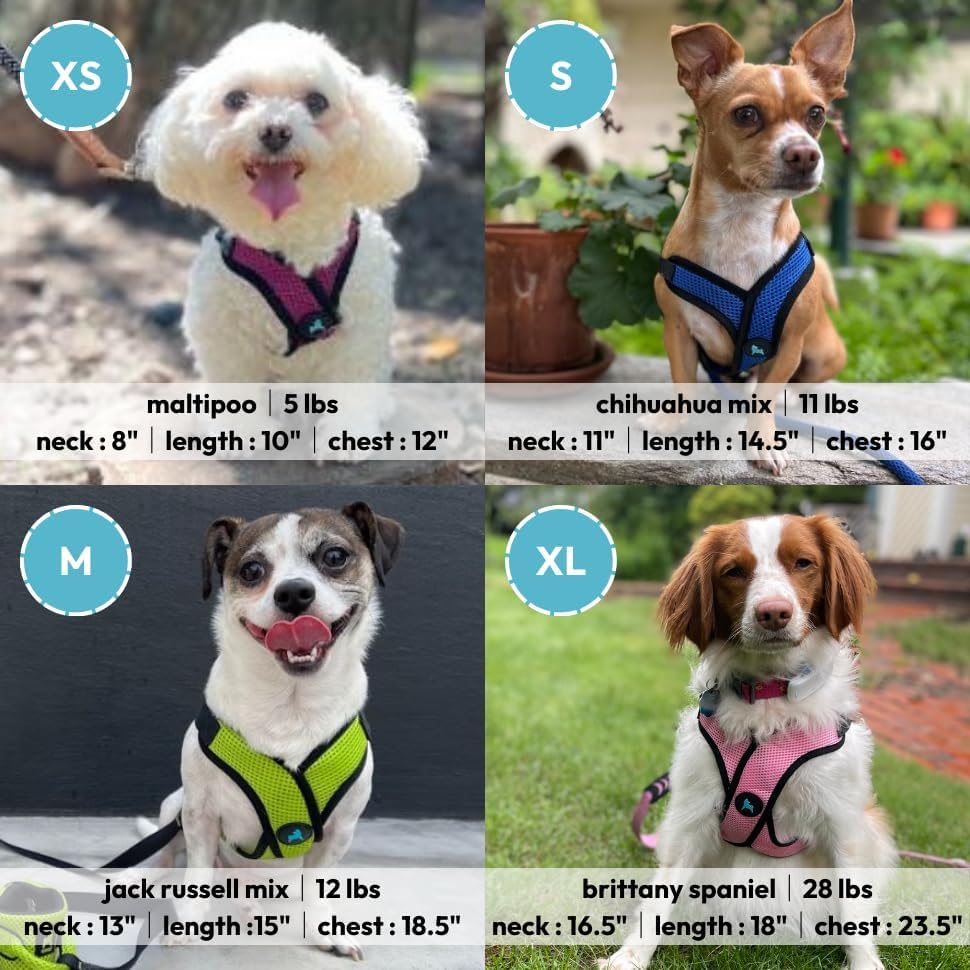 Gooby Comfort X Step in Lite Dog Harness - Turquoise, Small - Choke Free & Escape Free Mesh Harness