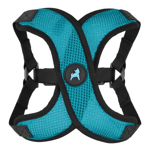 Gooby Comfort X Step in Lite Dog Harness - Turquoise, Small - Choke Free & Escape Free Mesh Harness