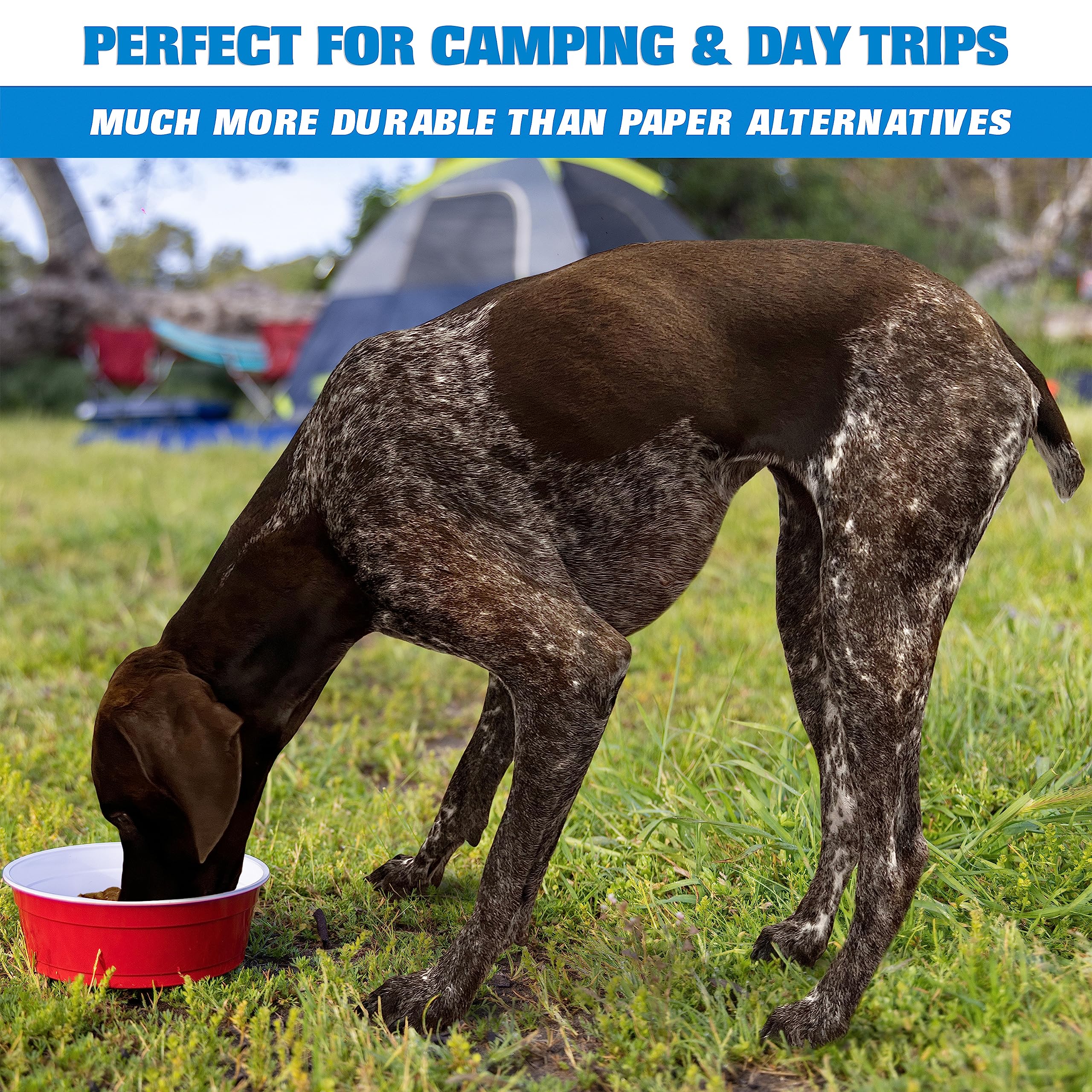 GoSports Party Dog Disposable Red Cup Pet Bowls - 50 Small Size, 22 oz Each