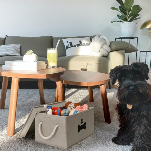 Gray Dog Toy Storage Basket with Lid – Collapsible Pet Toy Organizer by GreenPetopia