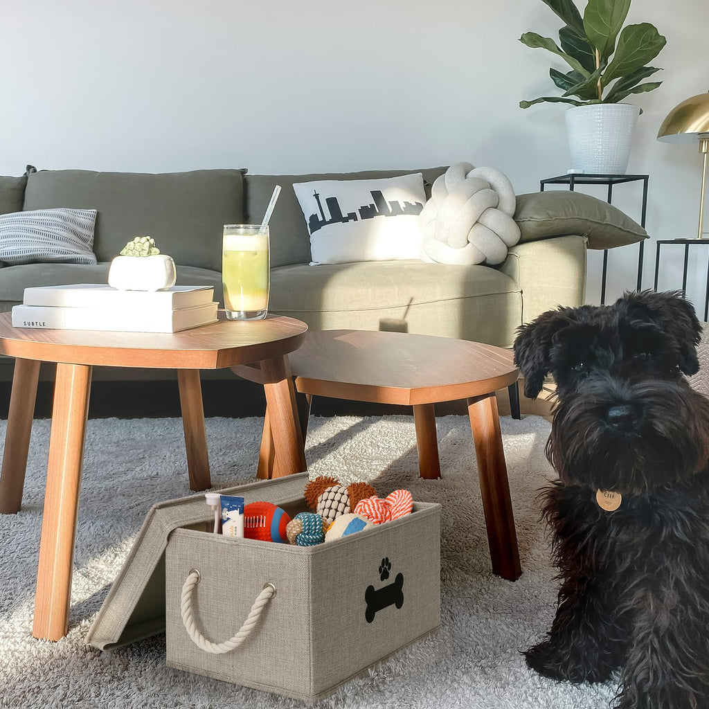 Gray Dog Toy Storage Basket with Lid – Collapsible Pet Toy Organizer by GreenPetopia