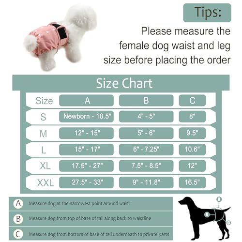Grecle Washable Female Dog Diapers - Large (15-17" Waist) - Reusable, Highly Absorbent, Adjustable Snaps for Heat & Incontinence