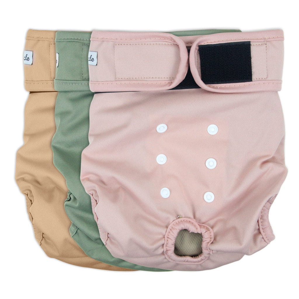 Grecle Washable Female Dog Diapers - Large (15-17" Waist) - Reusable, Highly Absorbent, Adjustable Snaps for Heat & Incontinence