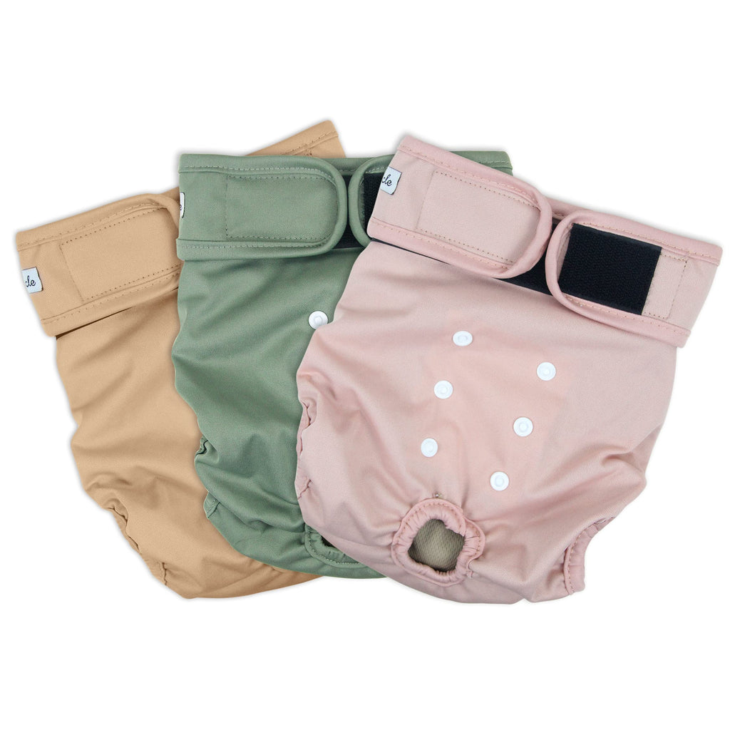 Grecle Washable Female Dog Diapers - Large (15-17" Waist) - Reusable, Highly Absorbent, Adjustable Snaps for Heat & Incontinence
