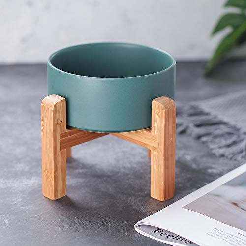 Green Ceramic Elevated Cat Bowl with Wood Stand – Non-Spill Feeder for Cats & Small Dogs