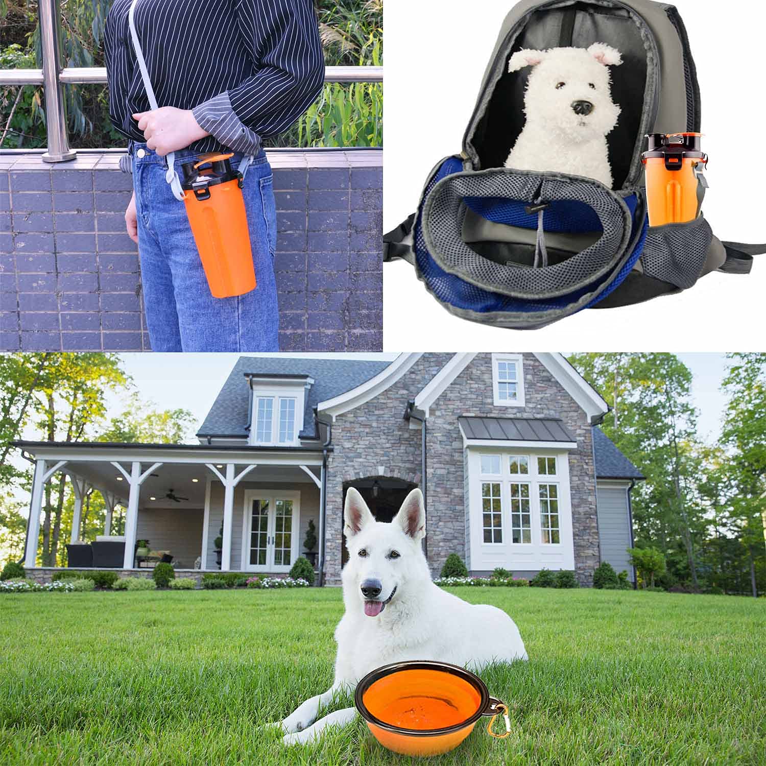 Guardians Dog Travel Water Bottle & Collapsible Bowls Set, 2-in-1 Portable Food & Water Container for Walking, Hiking, Camping (Orange)