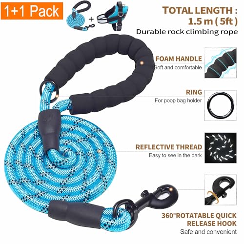 Haapaw Blue Small Dog Harness: No-Pull Vest with 3 Leash Attachments & Bonus Leash