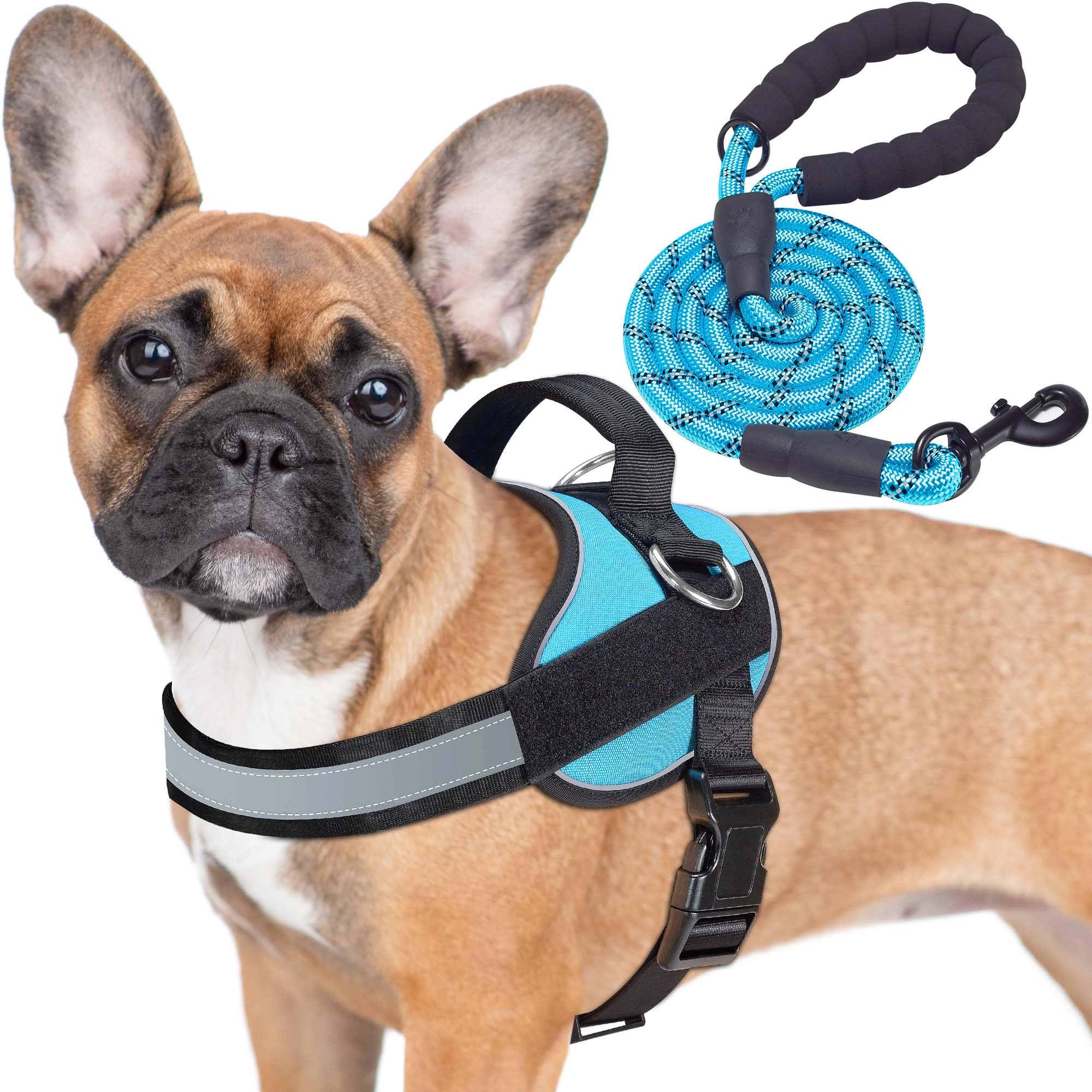 Haapaw Blue Small Dog Harness: No-Pull Vest with 3 Leash Attachments & Bonus Leash