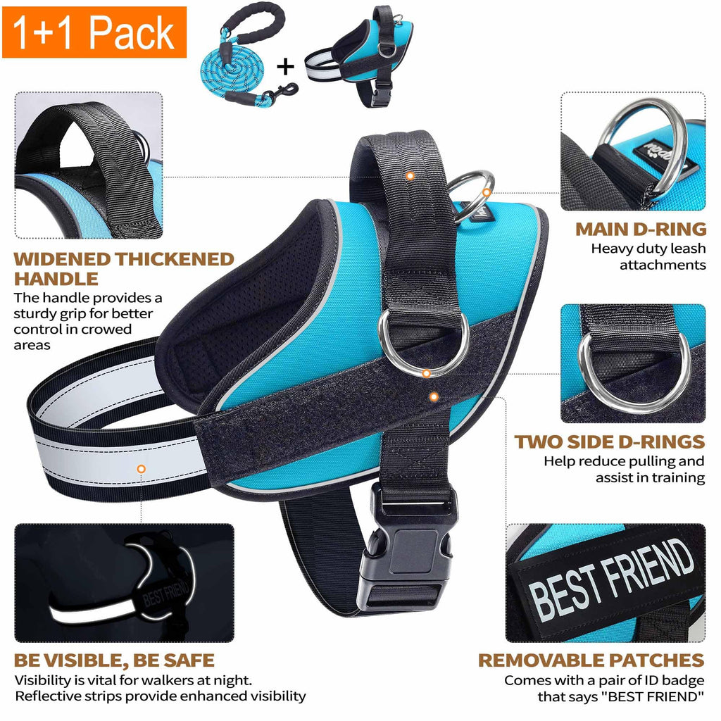 Haapaw Blue Small Dog Harness: No-Pull Vest with 3 Leash Attachments & Bonus Leash
