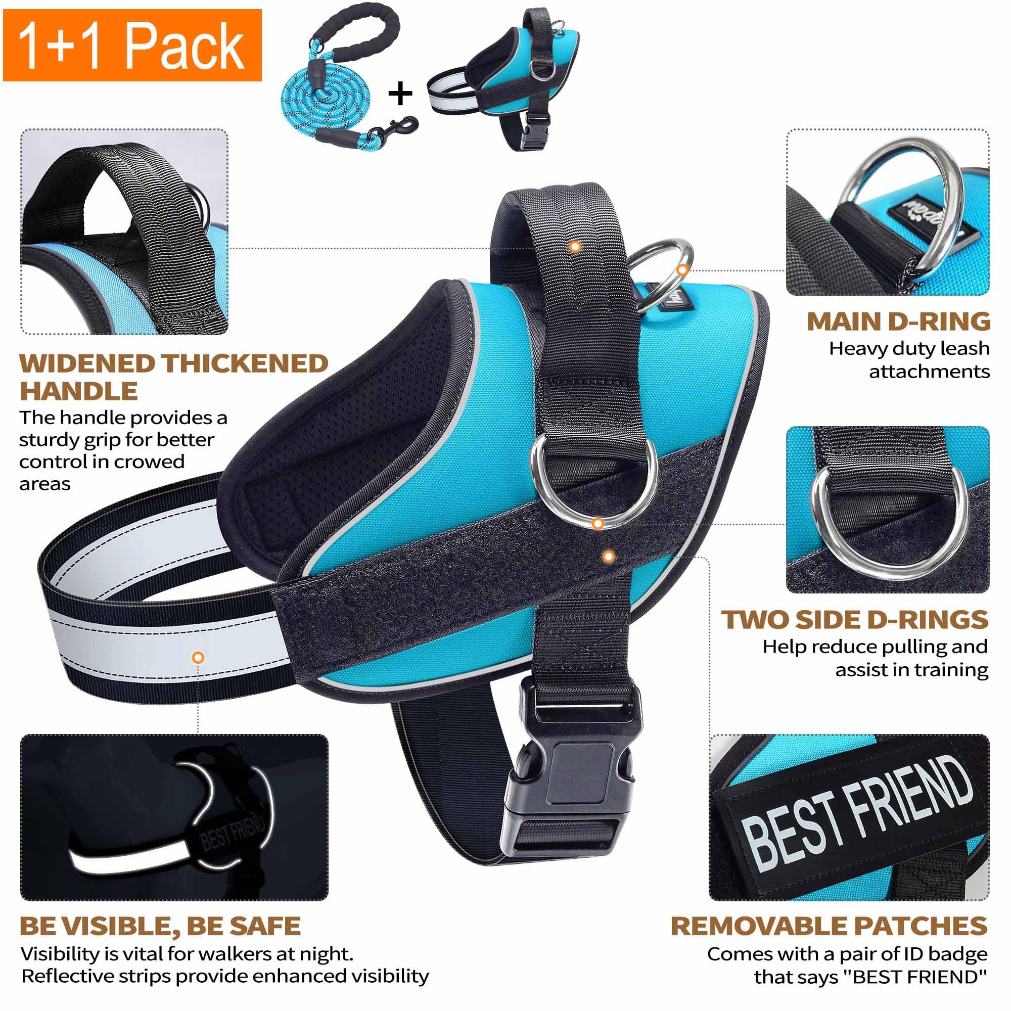 Haapaw Blue Small Dog Harness: No-Pull Vest with 3 Leash Attachments & Bonus Leash