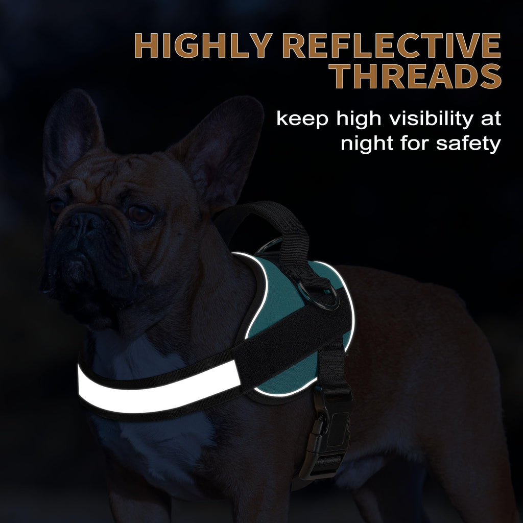 Haapaw Blue Small Dog Harness: No-Pull Vest with 3 Leash Attachments & Bonus Leash