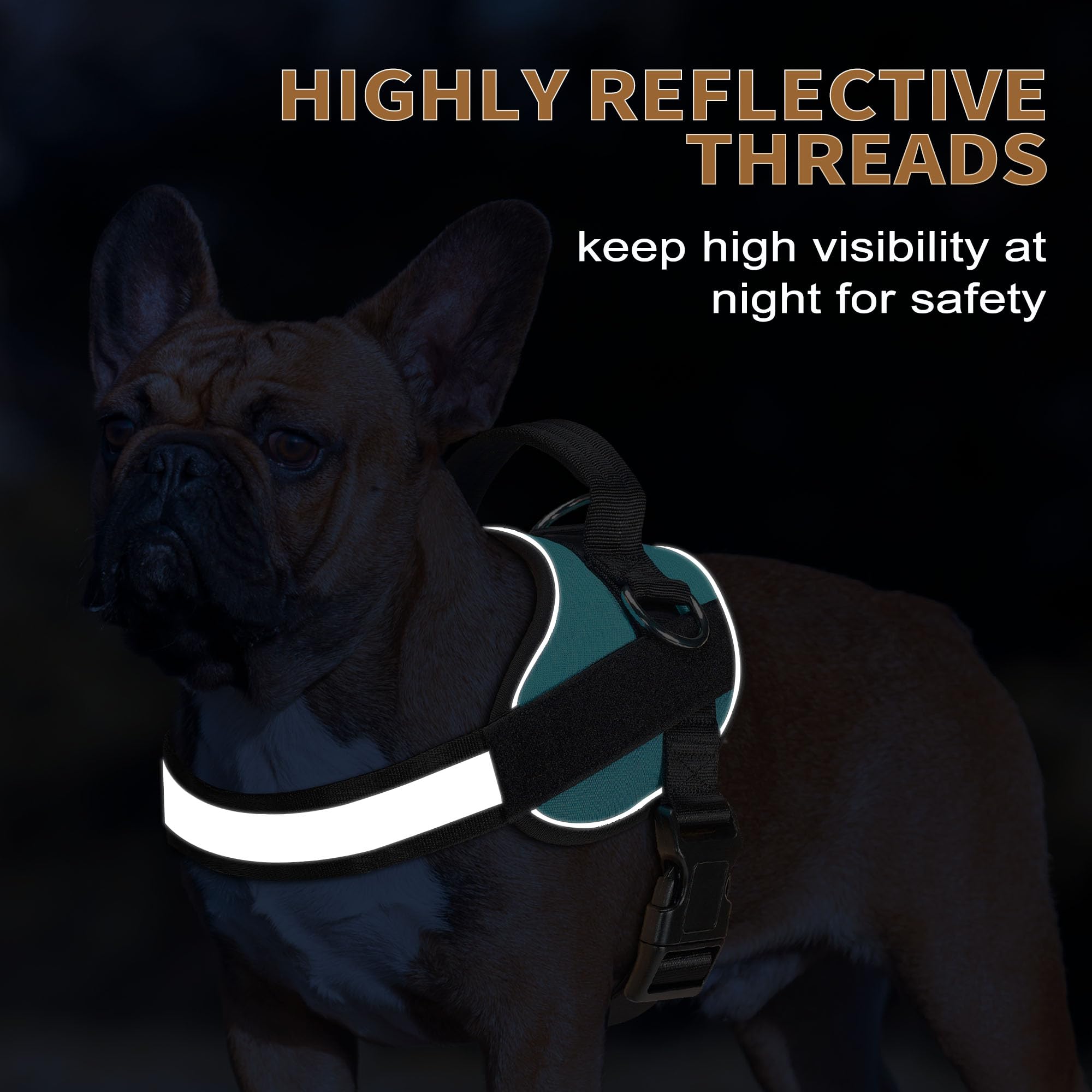 Haapaw Blue Small Dog Harness: No-Pull Vest with 3 Leash Attachments & Bonus Leash