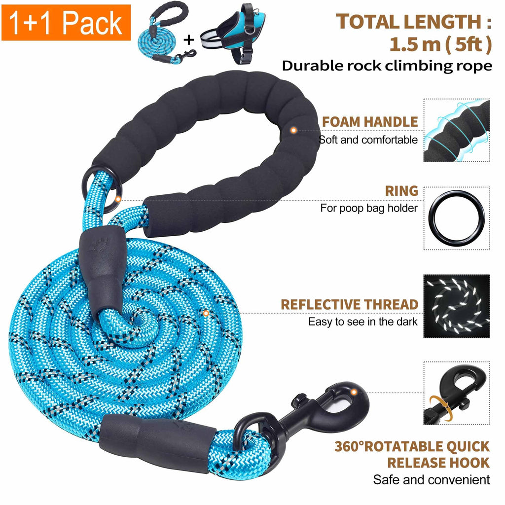 Haapaw Blue Small Dog Harness: No-Pull Vest with 3 Leash Attachments & Bonus Leash