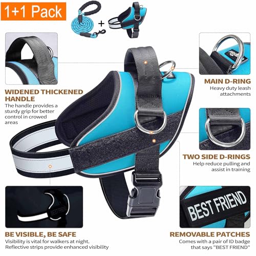 Haapaw Blue Small Dog Harness: No-Pull Vest with 3 Leash Attachments & Bonus Leash