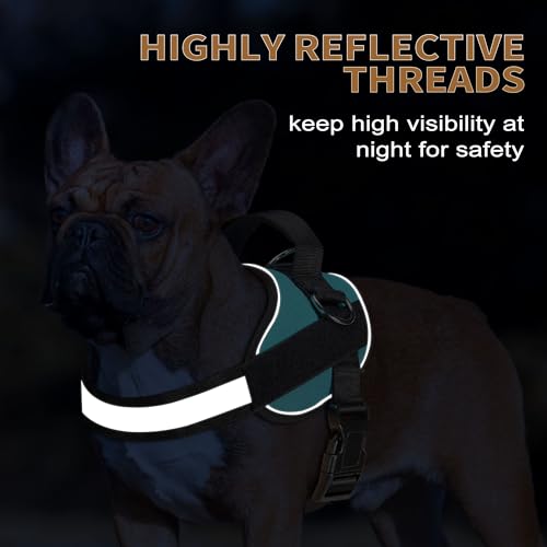 Haapaw Blue Small Dog Harness: No-Pull Vest with 3 Leash Attachments & Bonus Leash