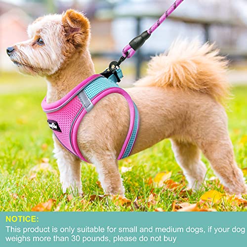 haapaw Dog Harness and Leash Set – No Pull, Reflective Step-In Harness for Small Dogs