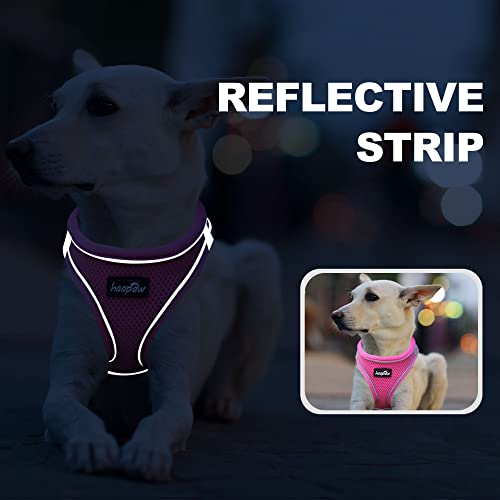 haapaw Dog Harness and Leash Set – No Pull, Reflective Step-In Harness for Small Dogs