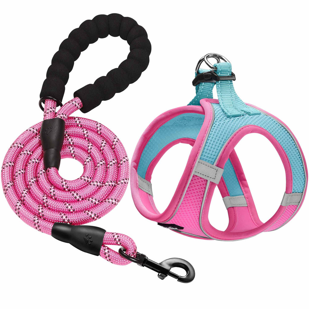 haapaw Dog Harness and Leash Set – No Pull, Reflective Step-In Harness for Small Dogs