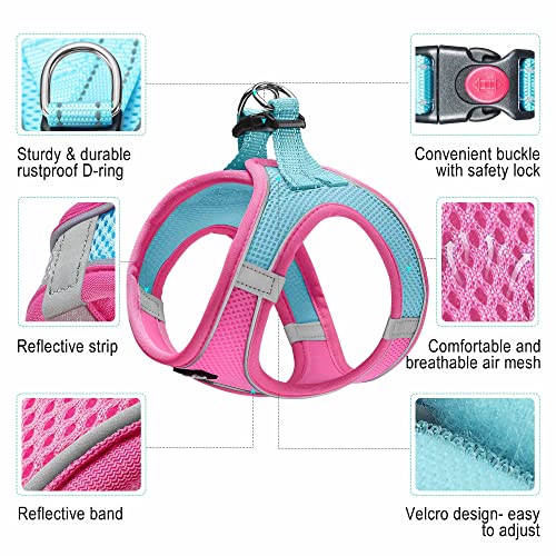 haapaw Dog Harness and Leash Set – No Pull, Reflective Step-In Harness for Small Dogs