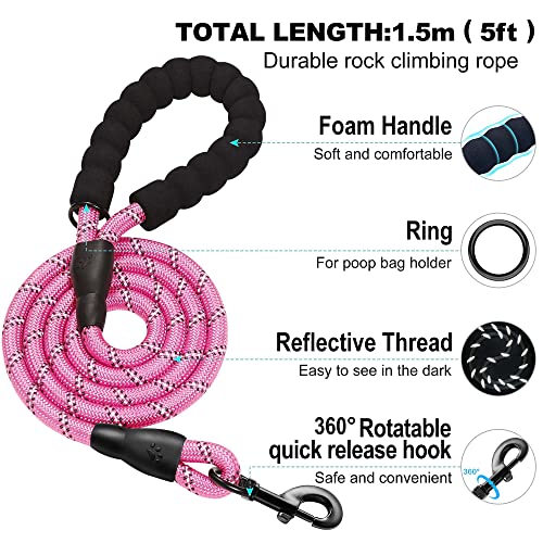 haapaw Dog Harness and Leash Set – No Pull, Reflective Step-In Harness for Small Dogs