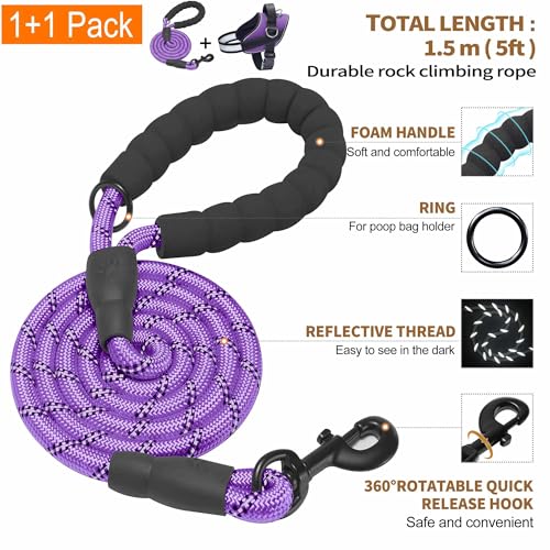 Haapaw Essential Dog Harness - No Pull, 3 Leash Clips, Reflective, Padded Vest for Medium Dogs (Purple, M)