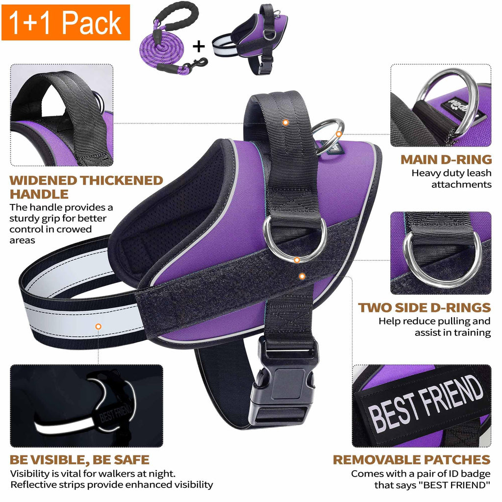 Haapaw Essential Dog Harness - No Pull, 3 Leash Clips, Reflective, Padded Vest for Medium Dogs (Purple, M)