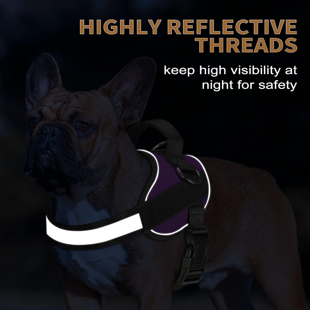 Haapaw Essential Dog Harness - No Pull, 3 Leash Clips, Reflective, Padded Vest for Medium Dogs (Purple, M)