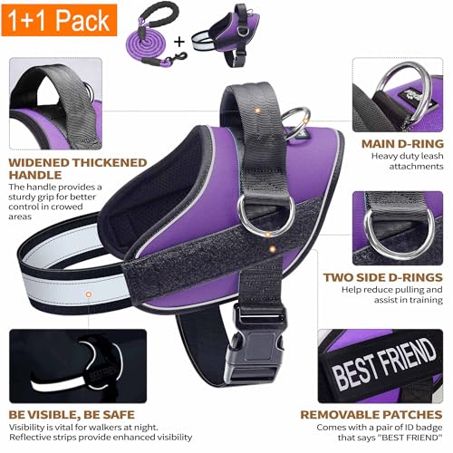Haapaw Essential Dog Harness - No Pull, 3 Leash Clips, Reflective, Padded Vest for Medium Dogs (Purple, M)