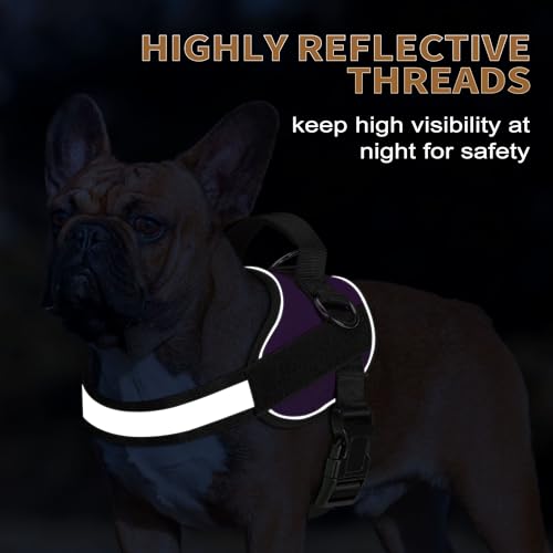 Haapaw Essential Dog Harness - No Pull, 3 Leash Clips, Reflective, Padded Vest for Medium Dogs (Purple, M)