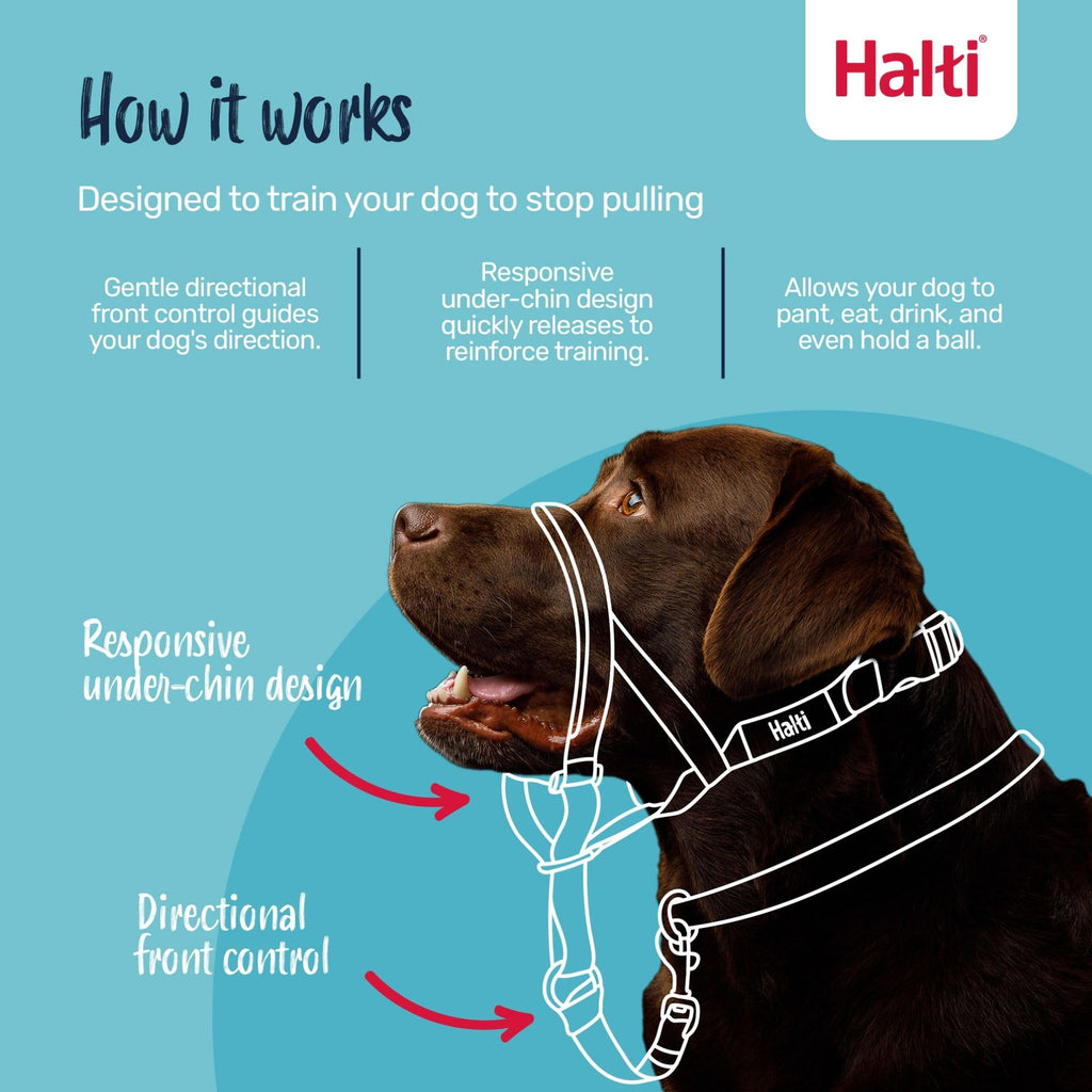 Halti Headcollar Size 4 Burnt Orange – Anti-Pull Dog Head Collar with Reflective Accents and Padded Neoprene Nose Band