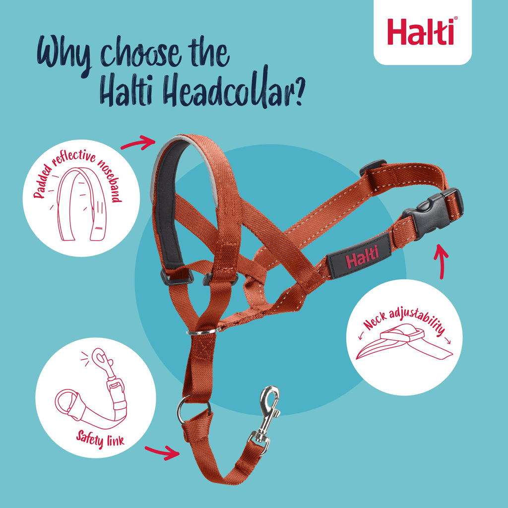Halti Headcollar Size 4 Burnt Orange – Anti-Pull Dog Head Collar with Reflective Accents and Padded Neoprene Nose Band