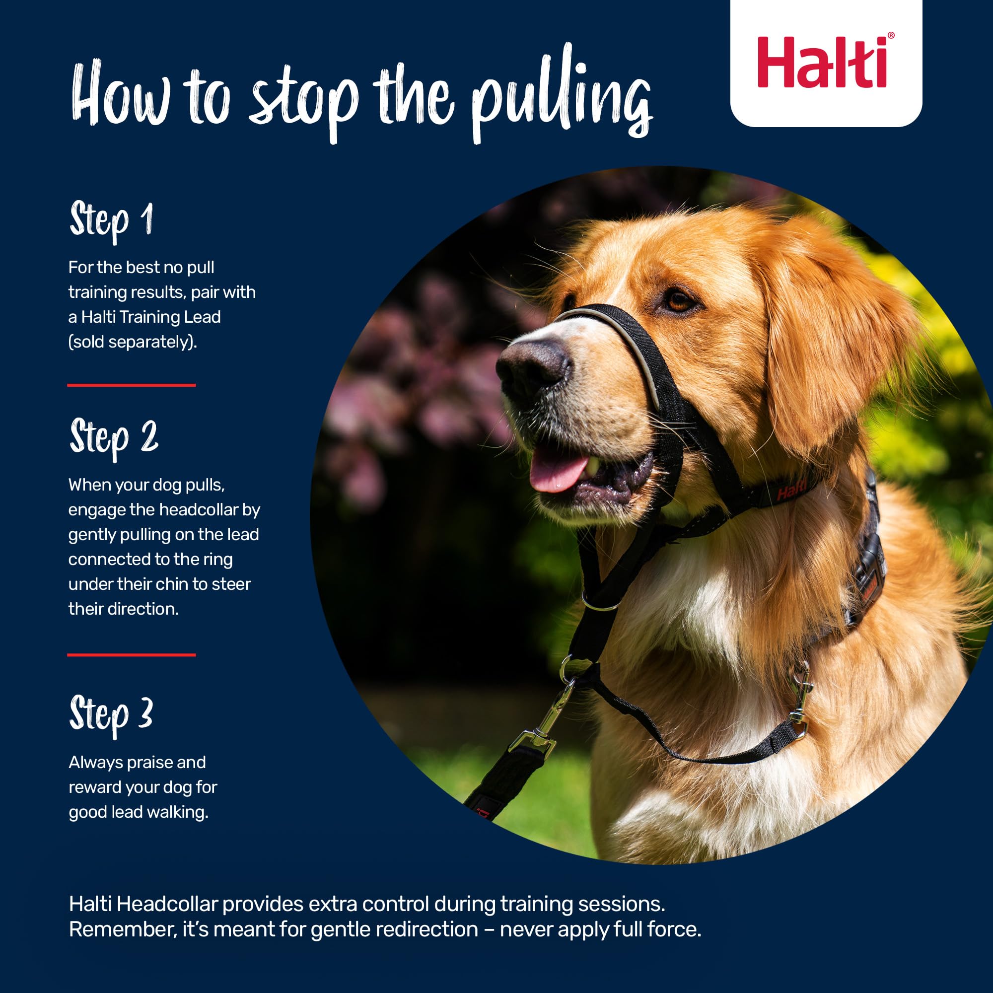 Halti Headcollar Size 4 Burnt Orange – Anti-Pull Dog Head Collar with Reflective Accents and Padded Neoprene Nose Band