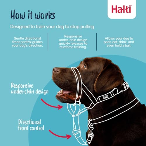 Halti Headcollar Size 4 Burnt Orange – Anti-Pull Dog Head Collar with Reflective Accents and Padded Neoprene Nose Band