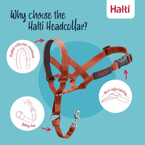 Halti Headcollar Size 4 Burnt Orange – Anti-Pull Dog Head Collar with Reflective Accents and Padded Neoprene Nose Band