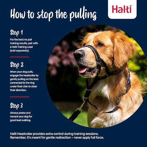Halti Headcollar Size 4 Burnt Orange – Anti-Pull Dog Head Collar with Reflective Accents and Padded Neoprene Nose Band