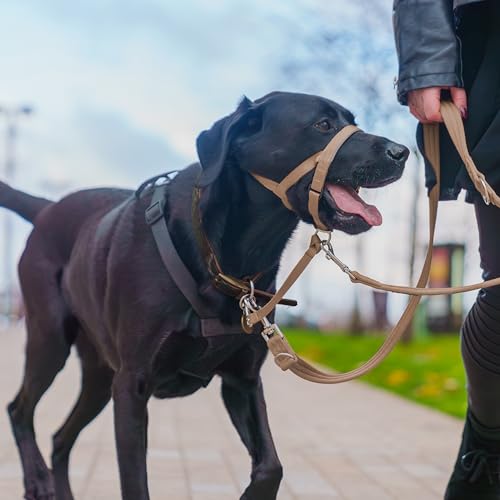 Halti Headcollar Size 4 Desert Sand – Gentle No-Pull Training for Large Dogs, Reflective & Padded
