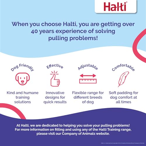 Halti Headcollar Size 4 Desert Sand – Gentle No-Pull Training for Large Dogs, Reflective & Padded