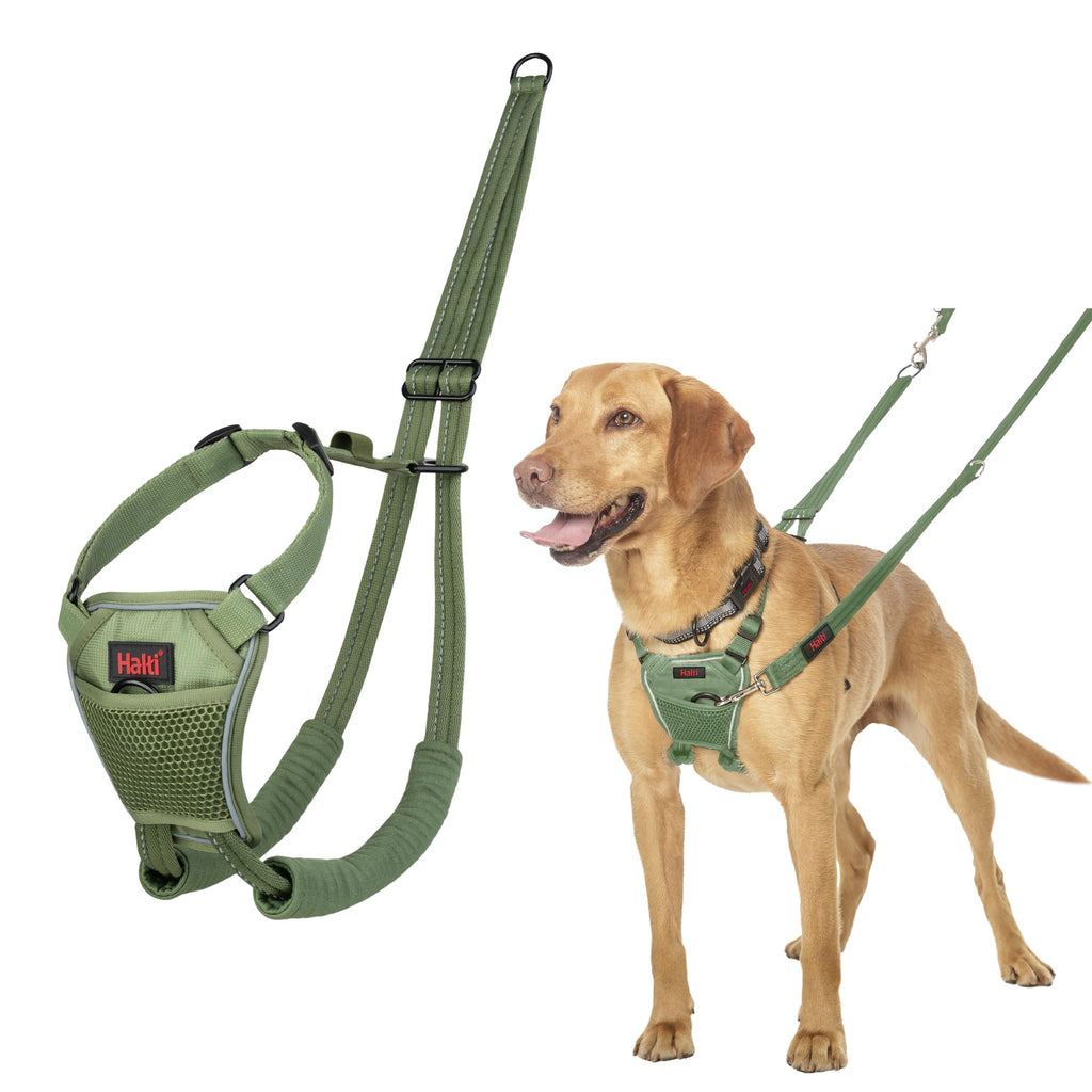 Halti No Pull Harness - Forest Green, Size M: Gentle Anti-Pull Training Harness for Medium Dogs with Reflective Details