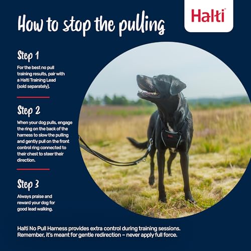 Halti No Pull Harness - Forest Green, Size M: Gentle Anti-Pull Training Harness for Medium Dogs with Reflective Details