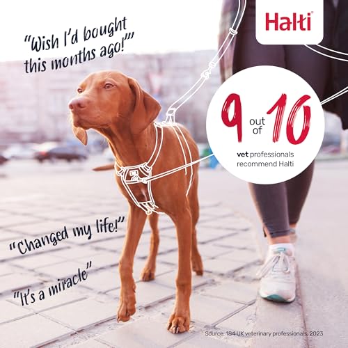 Halti No Pull Harness - Forest Green, Size M: Gentle Anti-Pull Training Harness for Medium Dogs with Reflective Details