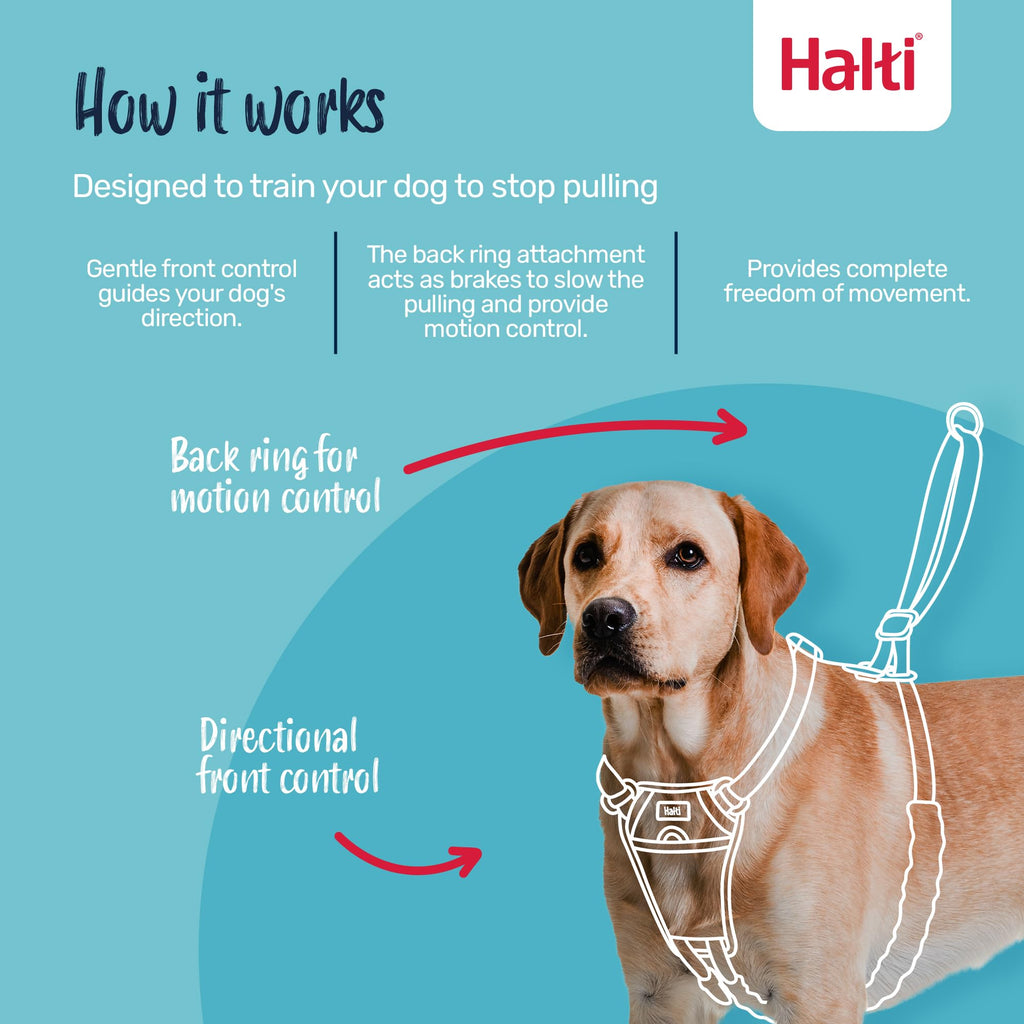 Halti No Pull Harness - Forest Green, Size M: Gentle Anti-Pull Training Harness for Medium Dogs with Reflective Details