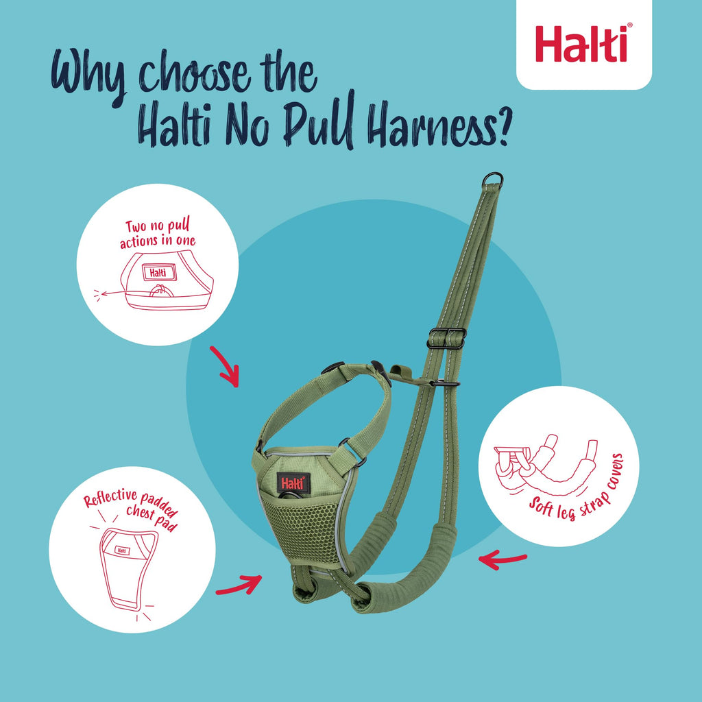 Halti No Pull Harness - Forest Green, Size M: Gentle Anti-Pull Training Harness for Medium Dogs with Reflective Details