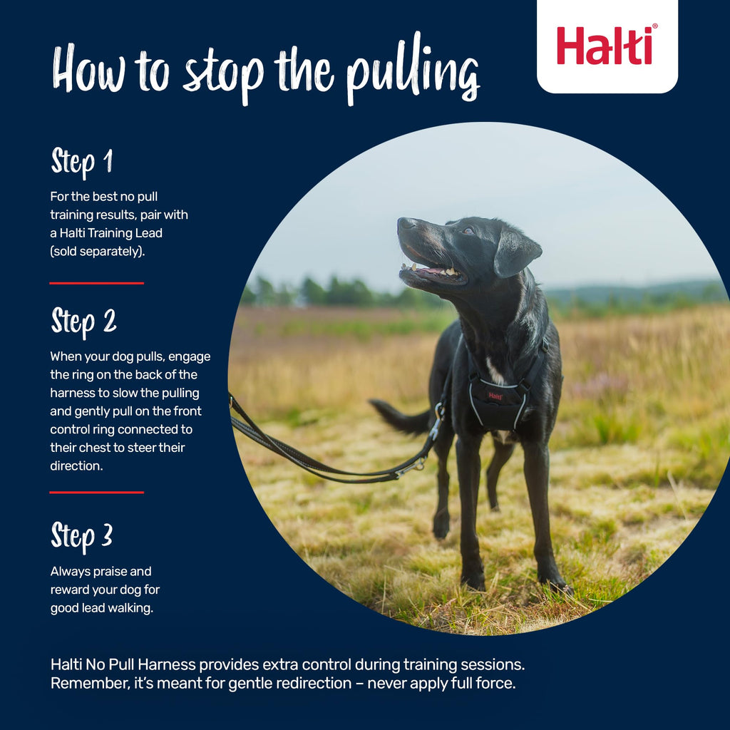 Halti No Pull Harness - Forest Green, Size M: Gentle Anti-Pull Training Harness for Medium Dogs with Reflective Details