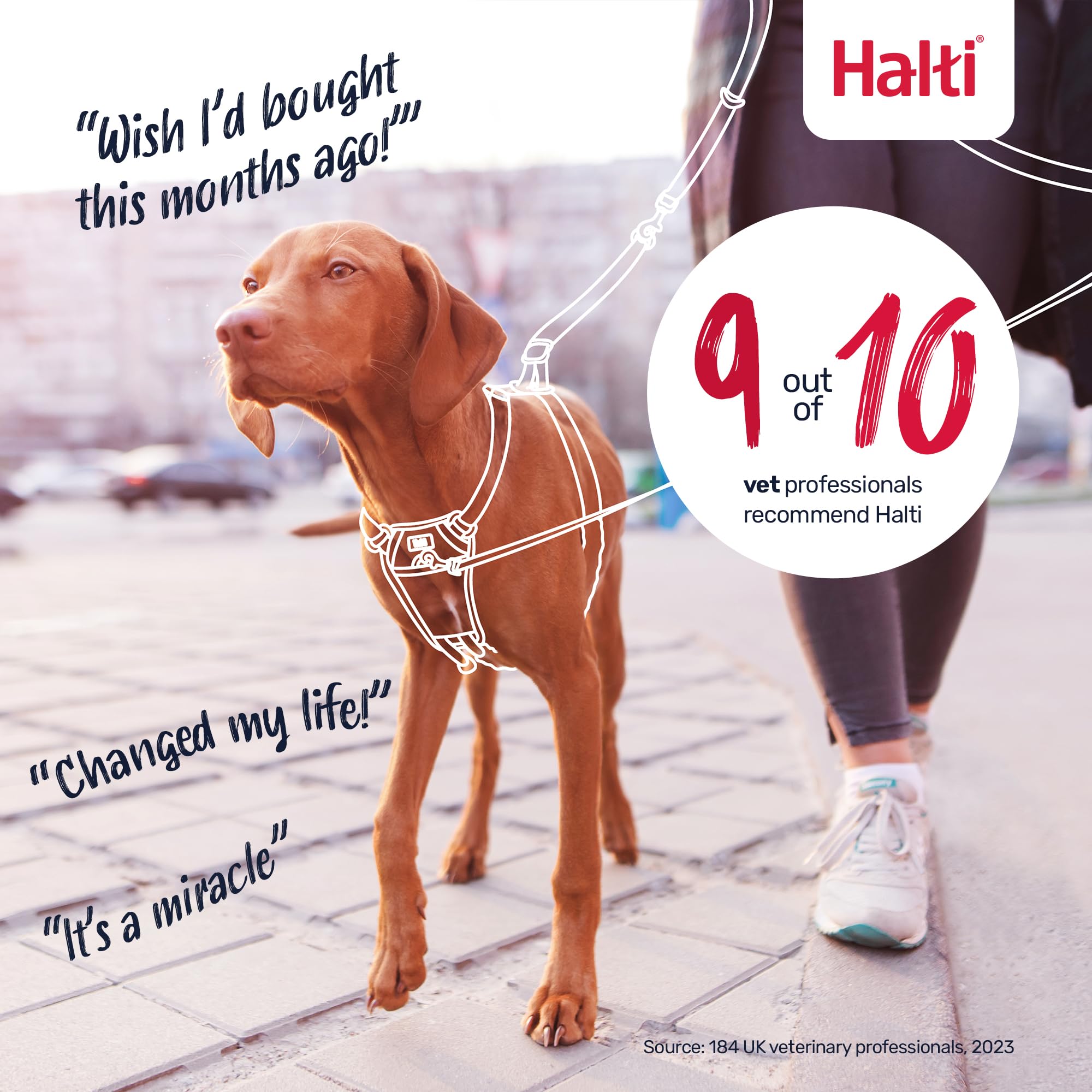 Halti No Pull Harness - Forest Green, Size M: Gentle Anti-Pull Training Harness for Medium Dogs with Reflective Details
