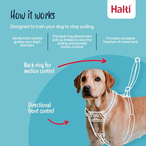 Halti No Pull Harness - Forest Green, Size M: Gentle Anti-Pull Training Harness for Medium Dogs with Reflective Details
