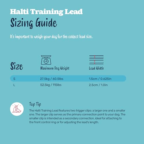 Halti Training Leash - Double-Ended Dog Leash for No-Pull Training, Size Large, Black, 2m