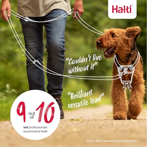 Halti Training Leash - Double-Ended Dog Leash for No-Pull Training, Size Large, Black, 2m