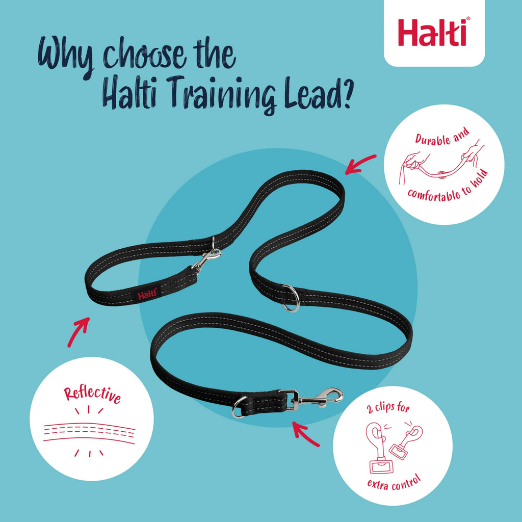 Halti Training Leash – Double-Ended Anti-Pull Leash for Small Dogs, 2m, Black